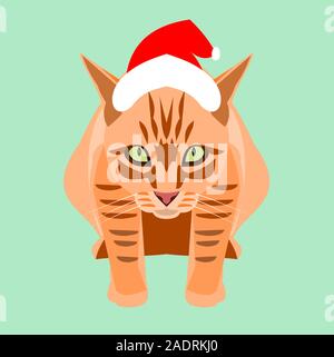 Farbe Orange tabby Katze tragen ein Weihnachtsmann hat auf grünem Hintergrund, Karikatur und Grafik über Weihnachten und Silvester Feier Stock Vektor