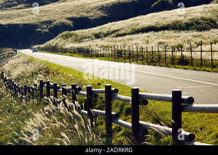 Aso Panorama, Präfektur Kumamoto, Japan Stockfoto