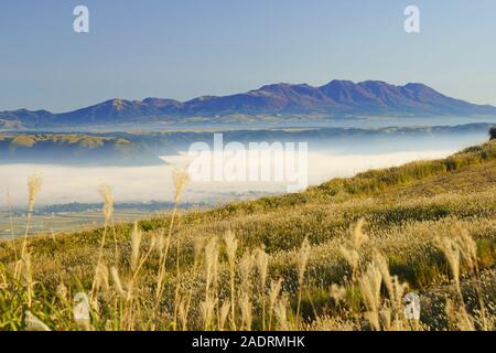 Wolke von Meer und japanisches Pampagras, Aso, Präfektur Kumamoto, Japan Stockfoto