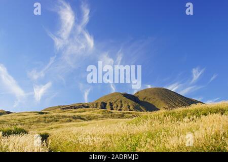 Japanisches Pampagras, Aso, Präfektur Kumamoto, Japan Stockfoto