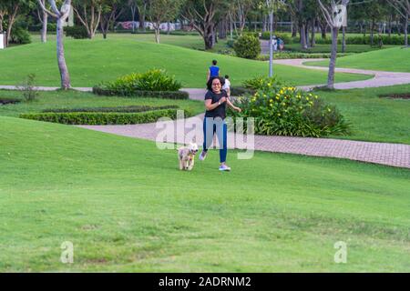 Asiatische Frau spielen mit flauschigen goldenen Hund auf Gras Stockfoto