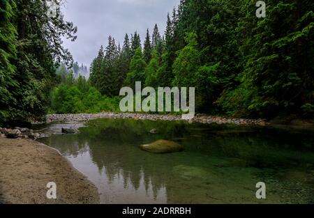 Pinien und bewölkter Himmel in dem kristallklaren Wasser eines Sees reflektieren an einem bewölkten Tag in Lynn Canyon Park Wald in Vancouver, Kanada Stockfoto