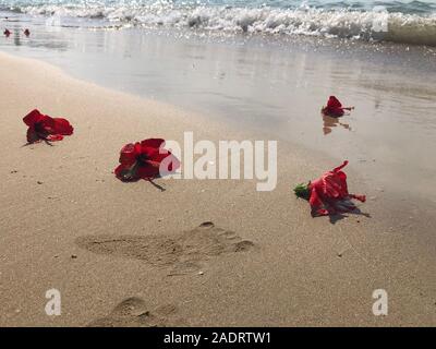 Rote Blüten von Hibiskus liegen am Strand gegen verwackelte Meer Wellen im Hintergrund. Stockfoto