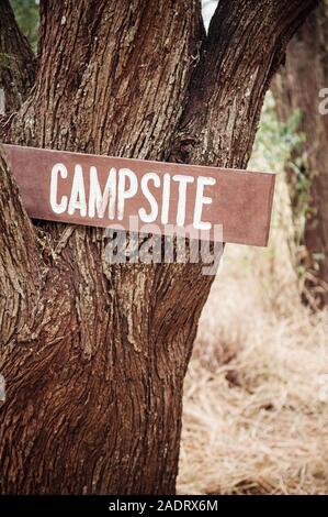 Alte vintage Holz- Campingplatz anmelden Stick am großen Baum, der in der Savanne Wald - Safari camping Konzept Stockfoto