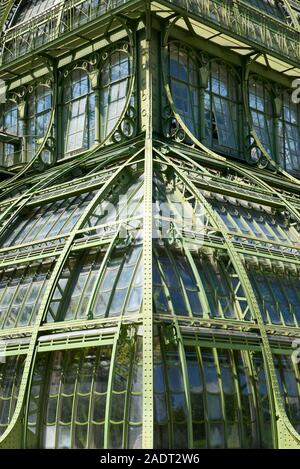 Gewächshaus im Schloss Schönbrunn in Wien, Österreich Stockfoto