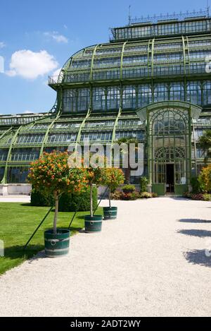 Gewächshaus im Schloss Schönbrunn in Wien, Österreich Stockfoto