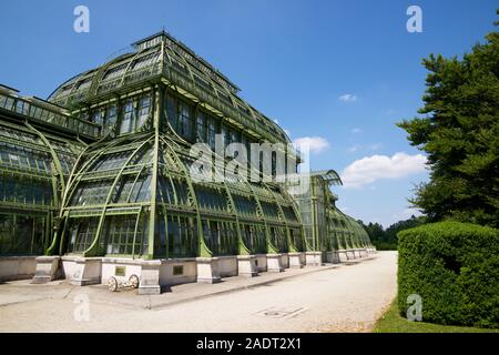 Gewächshaus im Schloss Schönbrunn in Wien, Österreich Stockfoto