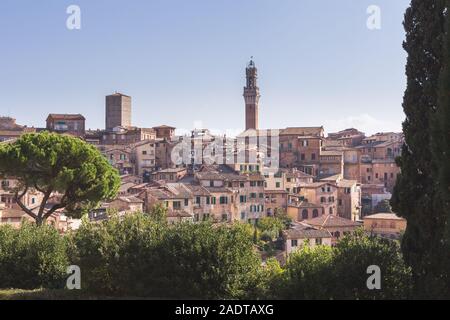 Siena Italien, mit Blick auf den Dom und die umliegenden Gebäude in der Skyline der Stadt Siena in der Toskana, Italien. Stockfoto