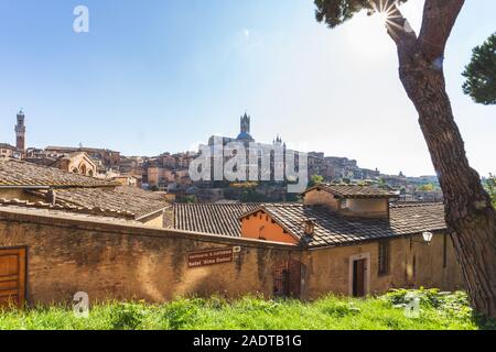 Siena Italien, mit Blick auf den Dom und die umliegenden Gebäude in der Skyline der Stadt Siena in der Toskana, Italien. Stockfoto