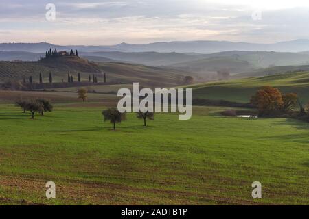 Berühmte Podere Belvedere im Morgenlicht, im Herzen der Toskana, in der Nähe von San Quirico in de Val d ' Orcia-Tal Stockfoto