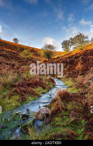 Rocky Stream auf der Zuckerhut in die Schwarzen Berge, Wales. Stockfoto