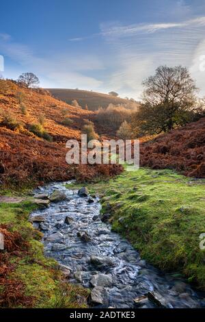 Rocky Stream auf der Zuckerhut in die Schwarzen Berge, Wales. Stockfoto