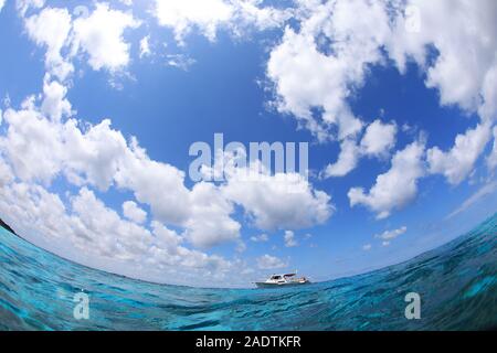 Tauchboot für Taucher im Meer der Karibik Bonaire warten Stockfoto