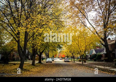 Osten englischen Dorf Nachbarschaft, Detroit, Michigan, USA Stockfoto