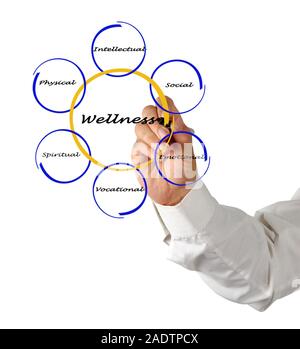 Diagramm der Wellness Stockfoto