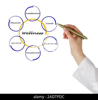 Diagramm der Wellness Stockfoto