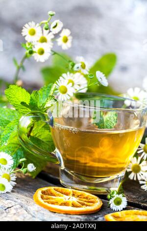 Kamille in kochendem Schale - Still Life Stockfoto