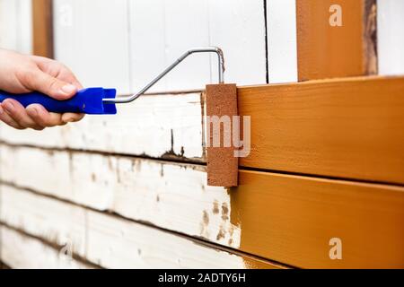 Mann lackierte Holzplatten mit einem Bogen Walze und Schaumstoffrolle. Braun Farbe lackiert ist oder auf eine Holzwand gerollt Stockfoto