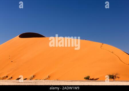 Climb Dune 45, in der Nähe von Sesriem, Namib Desert, Namibia, Südafrika, Afrika Stockfoto