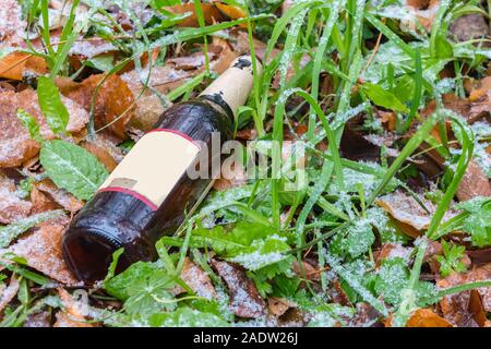 Eine leere Bierflasche liegt im Gras unter Herbst Blätter und pecker Schnee Stockfoto