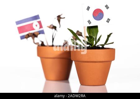 Flaggen von Südkorea und Nordkorea in einem Blumentopf mit Dürre Blume, conceptpeanlties oder strafende Tarif oder schlechte Kaufkraft. Symbol für eine schlechte Stockfoto