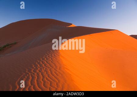 Morgendünen mit Windwellen, Sossusvlei, Namib-Wüste, Namib-Naukluft-Nationalpark, Namibia, Südliches Afrika, Afrika Stockfoto