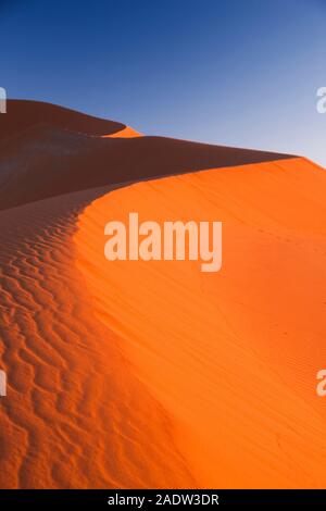 Morgendünen mit Windwellen, Sossusvlei, Namib-Wüste, Namib-Naukluft-Nationalpark, Namibia, Südliches Afrika, Afrika Stockfoto