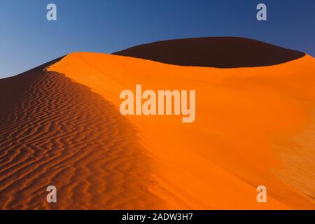 Morgendünen mit Windwellen, Sossusvlei, Namib-Wüste, Namib-Naukluft-Nationalpark, Namibia, Südliches Afrika, Afrika Stockfoto