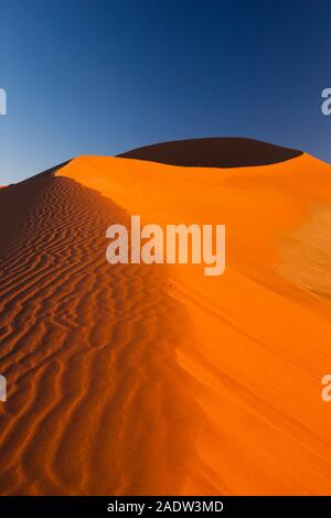 Morgendünen mit Windwellen, Sossusvlei, Namib-Wüste, Namib-Naukluft-Nationalpark, Namibia, Südliches Afrika, Afrika Stockfoto