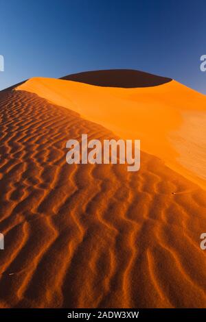 Morgendünen mit Windwellen, Sossusvlei, Namib-Wüste, Namib-Naukluft-Nationalpark, Namibia, Südliches Afrika, Afrika Stockfoto