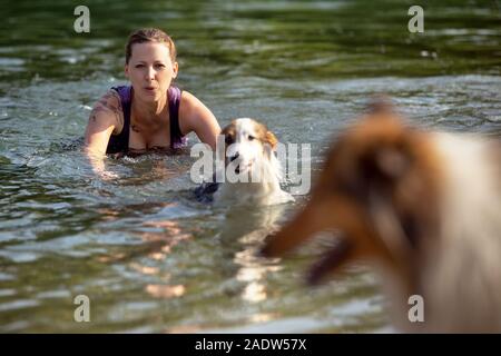 Junge Frau in einem See oder Fluss, zwei Hunde spielen und lernen ins Wasser. Stockfoto