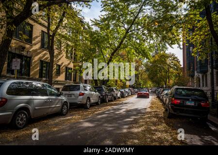 Lincoln Park Nachbarschaft, Nordseite, Chicago, Illinois, USA Stockfoto