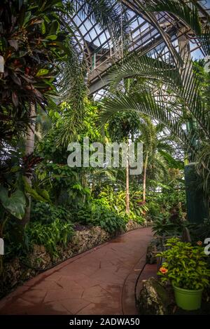 Palm House, Lincoln Park Conservatory, Lincoln Park, Nordseite, Chicago, Illinois, USA Stockfoto