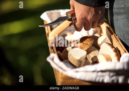 Frau wird von Hand mit einem Messer und ein Korb mit frischen, rohen Boletus Edulis innen, Pilze Stockfoto