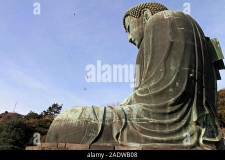 Der große Buddha von Kamakura, Japan. Kamakura Daibutsu. Seitenansicht Stockfoto