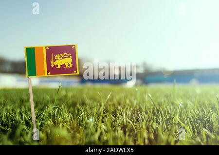 Miniatur stick Sri Lanka Flagge auf grünem Gras, sonnigen Gebiet. Stadion Hintergrund, kopieren Platz für Text. Stockfoto