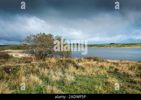 Das Windswept Colliford See am Bodmin Moor in Cornwall. Stockfoto