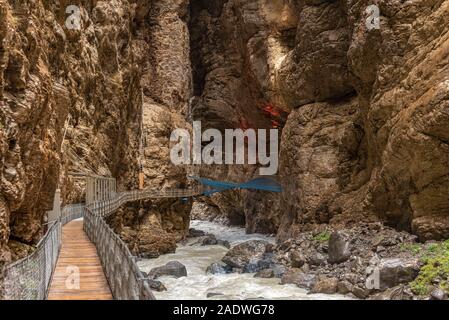 Fluss Weisse Lutschine fließt durch Grindelwald glacier Gorge, Spiderweb netto in der Rückseite, im Berner Oberland, Kanton Bern, Schweiz Stockfoto