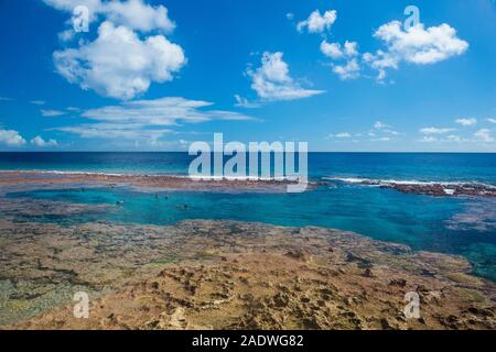 Touristen schwimmen im Limu low tide Pools, Südpazifik, Niue Stockfoto