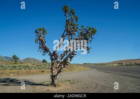 Schuhspanner bei Hallelujah Junction auf der Autobahn 395, Kalifornien Stockfoto