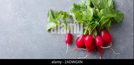 Radieschen Bündel auf grauem Stein Hintergrund. Kopieren Sie Platz. Ansicht von oben. Stockfoto