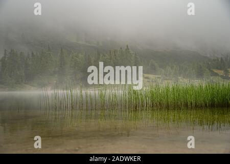 Wanderer in den österreichischen Alpen zu Fuß über Wanderwege in den Wäldern rund um die Seen Stockfoto