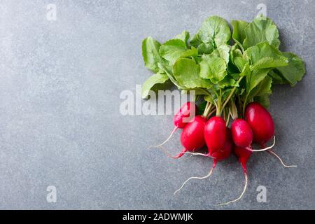 Radieschen Bündel auf grauem Stein Hintergrund. Kopieren Sie Platz. Ansicht von oben. Stockfoto