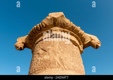 Spalte an der Großen Tempel von Petra, Jordanien Stockfoto