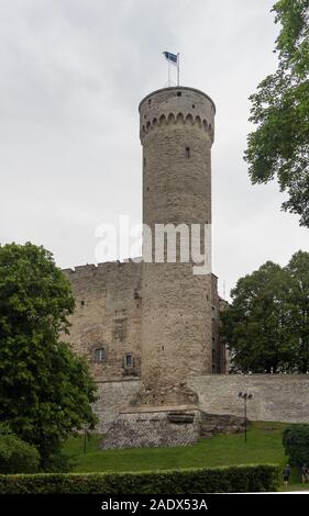 Turm Pikk Hermann oder Tall Hermann in der Burg Toompea in der Altstadt von Tallinn, UNESCO-Weltherritage. Stockfoto