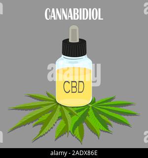 Die Formel von Hanf CBD. Strukturmodell der Moleküle Cannabidiol und Tetrahydrocannabinol. Medizinisches Cannabis. Medizinisches Marihuana, Vektor Stock Vektor