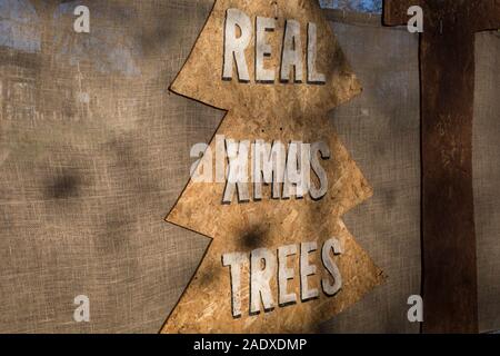 Ein Detail aus einem Weihnachtsbaum Zeichen eines Business Wortspiel "Baum Amigos" auf Gans Grün im East Dulwich, im Süden von London, England, am 4. Dezember 2019. Stockfoto