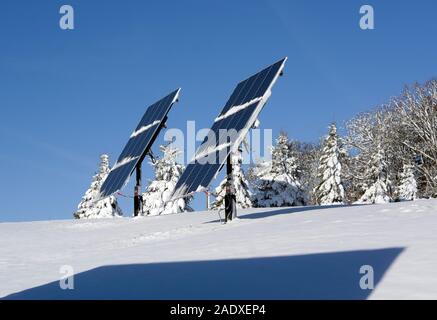 Photovoltaik-Sonnenkollektoren auf einem Hügel mit einer Reihe schneebedeckter Fichten nach einem starken Schneefall. Stockfoto