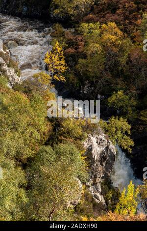 RIVER KIRKAIG SUTHERLAND SCHOTTLAND BÄUME UND STRÄUCHER mit gelben Blätter im Herbst entlang der Wasserfälle von KIRKAIG Stockfoto