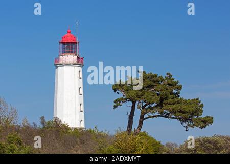 Dornbusch Leuchtturm/Leuchtturm Dornbusch auf Schluckswiek auf der Insel Hiddensee, Mecklenburg-Vorpommern, Deutschland Stockfoto